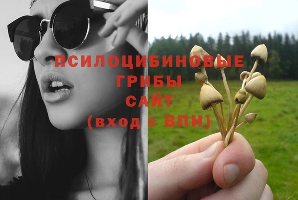 дурь Краснослободск