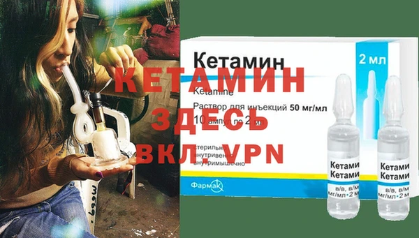 шишки Аркадак