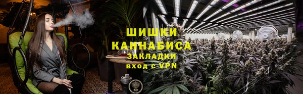 твердый Ладушкин