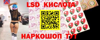 apvp Гатчина