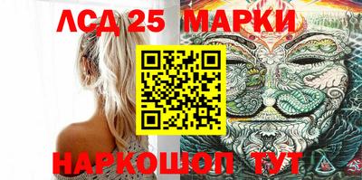 apvp Гатчина