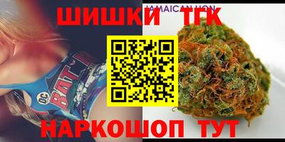 apvp Гатчина