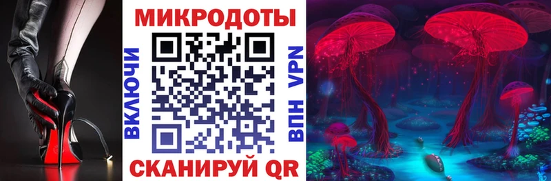 Галлюциногенные грибы Psilocybe  Нижневартовск 