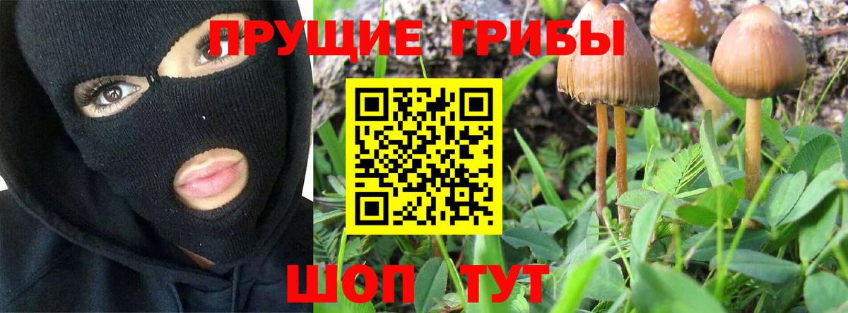 Галлюциногенные грибы GOLDEN TEACHER  Вход с VPN  Нижневартовск 