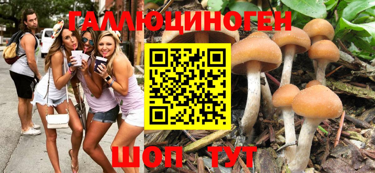 Псилоцибиновые грибы GOLDEN TEACHER  Нижневартовск 